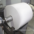 Direct Thermal PP Paper Jumbo Label Roll